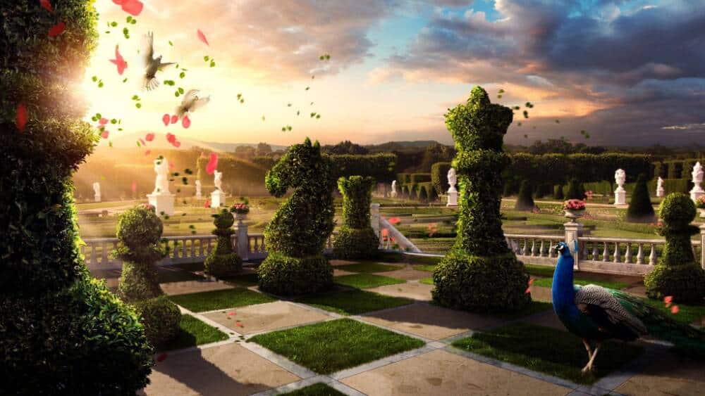 chessgarden 1024x576 1 - Mon Lynx Consulting