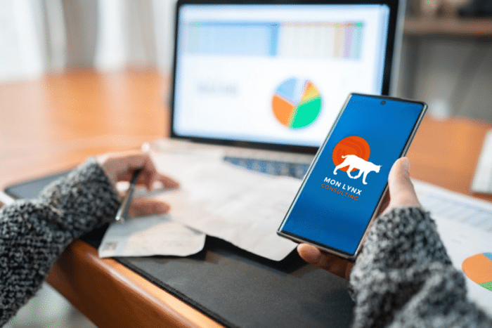Ajouter un titre 6 - Mon Lynx Consulting